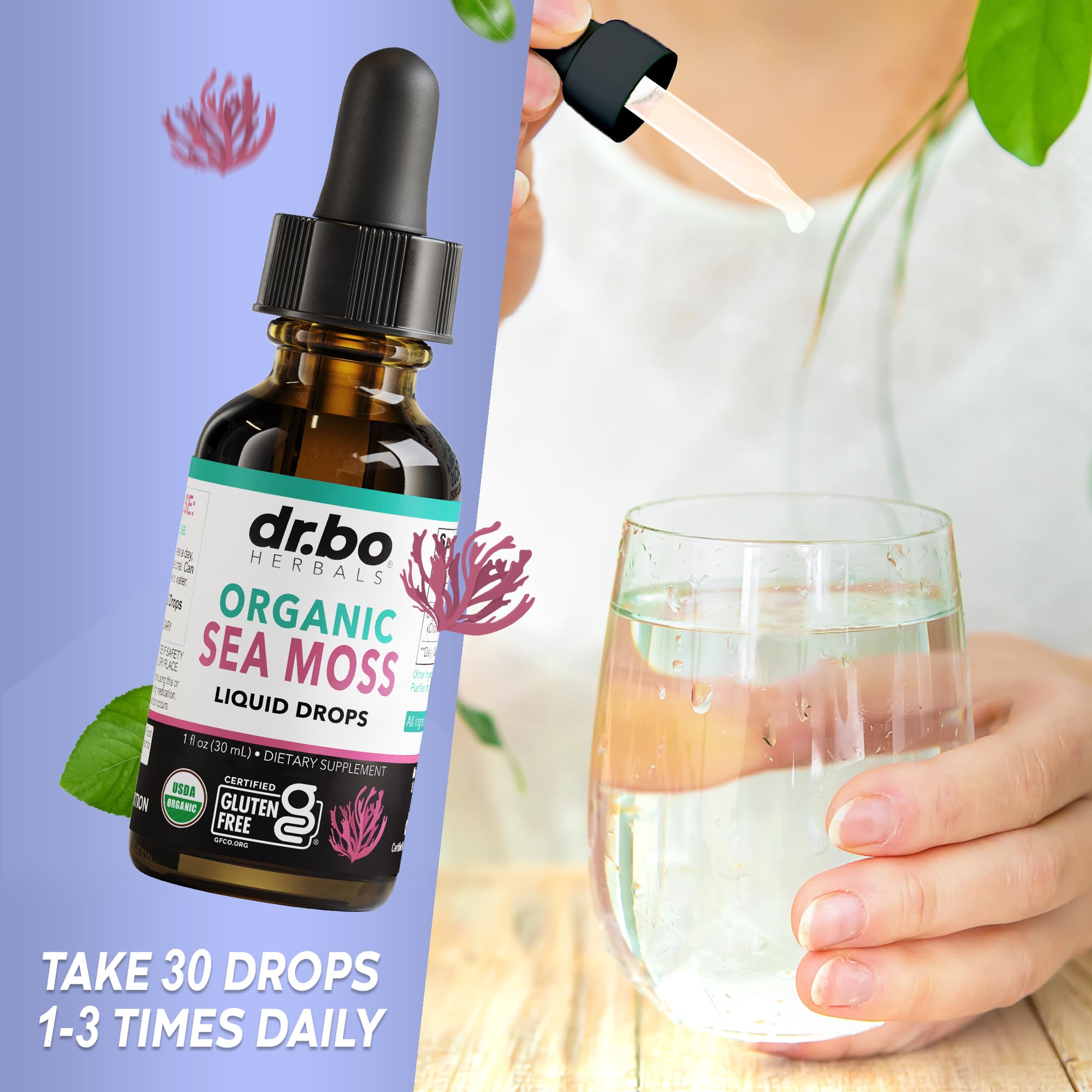 DR. BO Irish Sea Moss Drops vegan label signaling plant-based nourishment