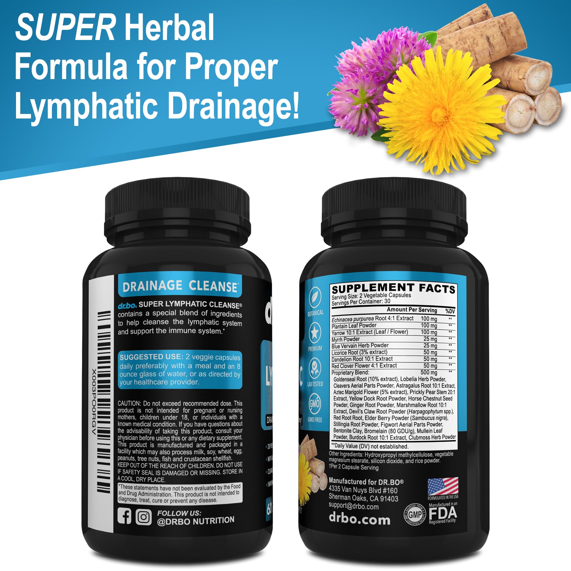 DR. BO Lymphatic bottle on countertop with herbs background.