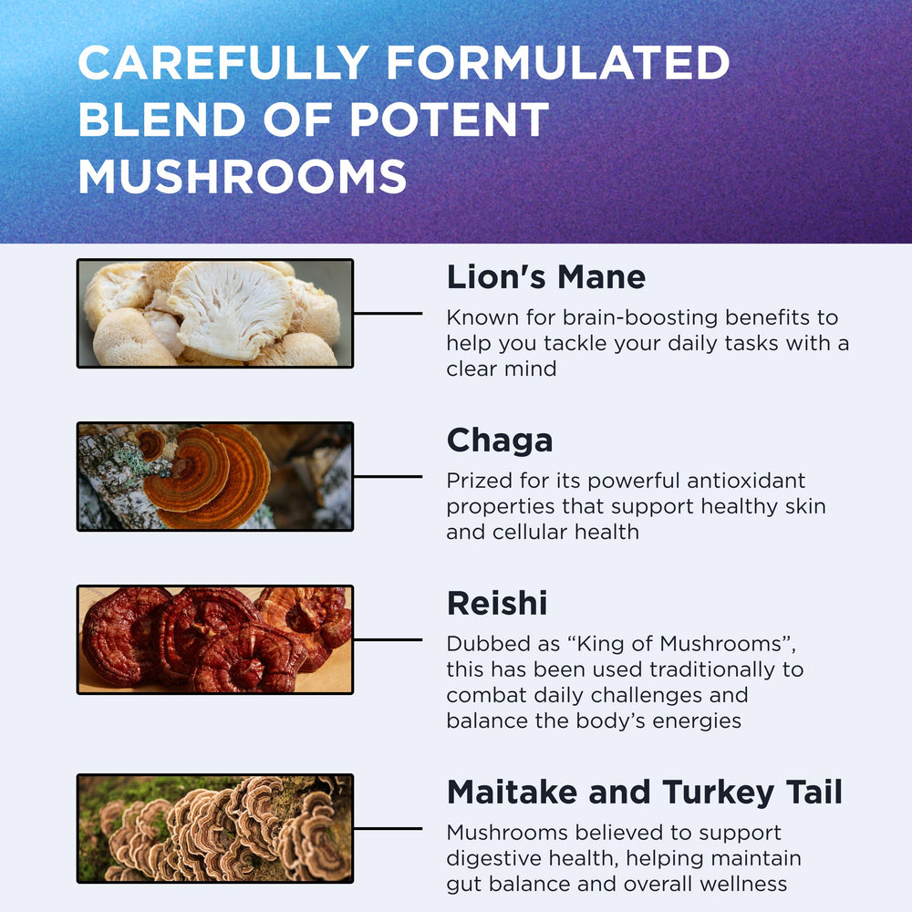 DR. EMIL NUTRITION hot-water extraction preserves nutrients in Lion's Mane