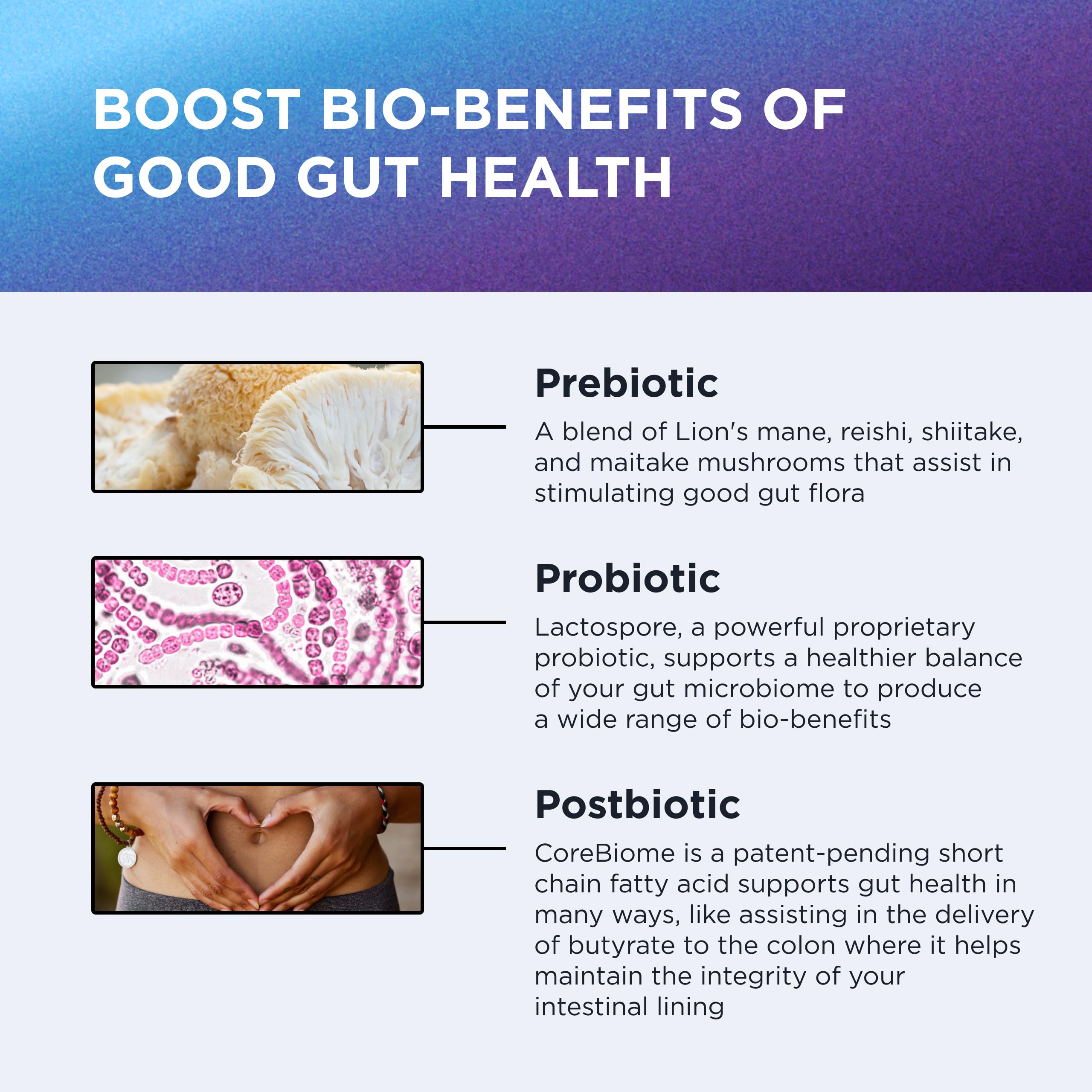 Dr. Emil Nutrition Total Gut Complex CoreBiome postbiotic highlights gut lining support