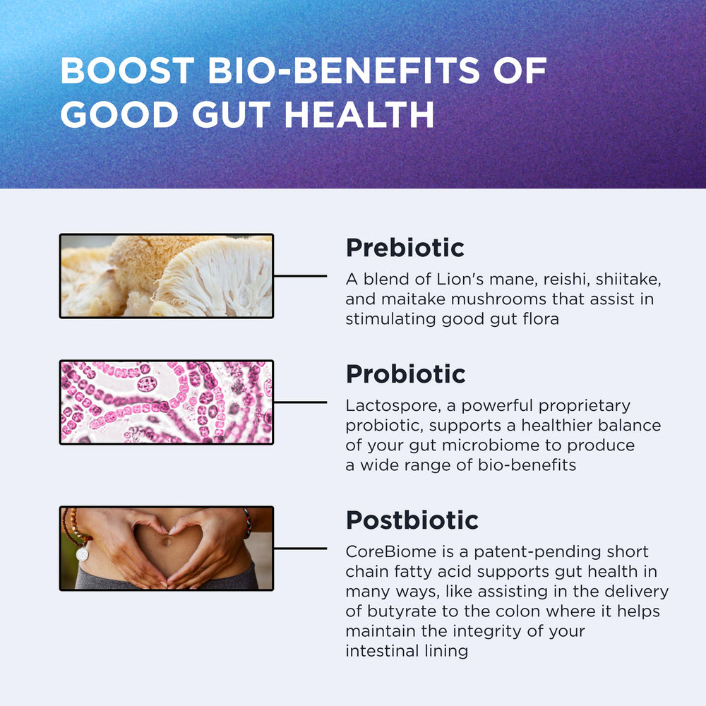Dr. Emil Nutrition Total Gut Complex CoreBiome postbiotic highlights gut lining support