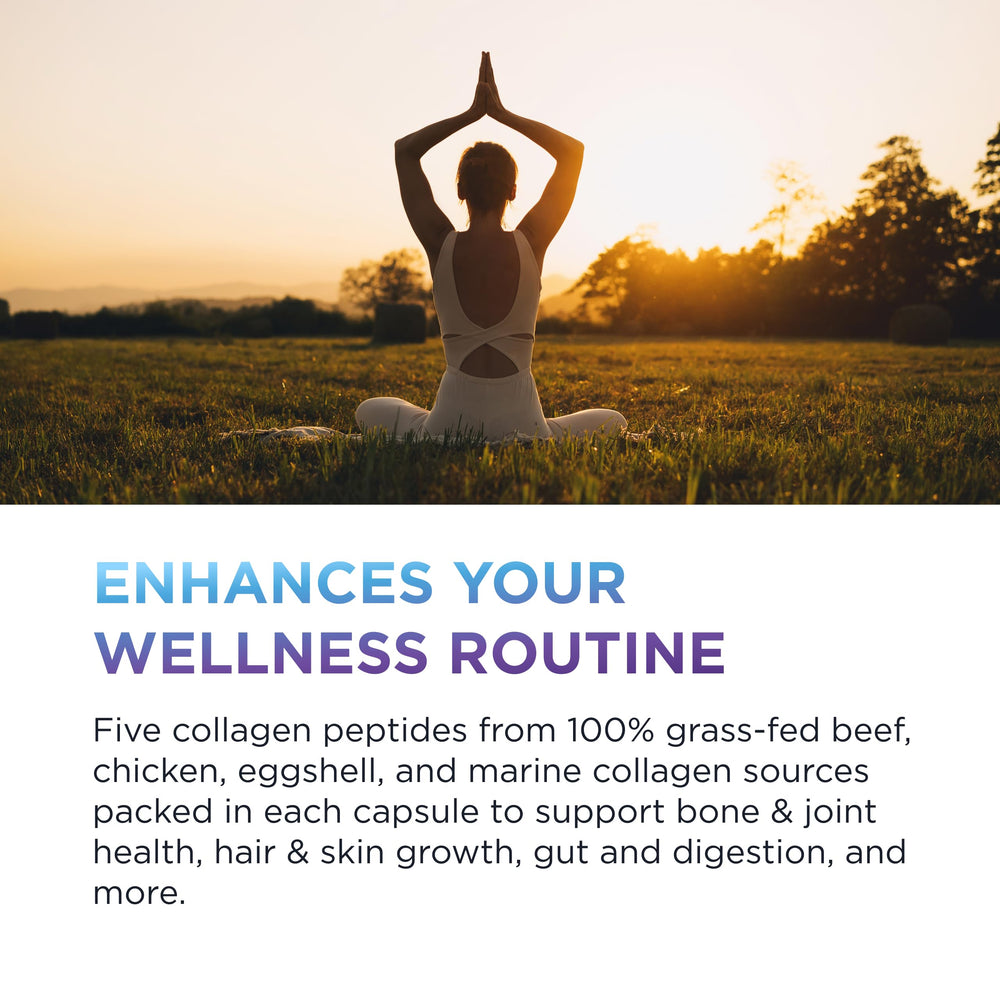 DR. EMIL NUTRITION five-type collagen sources visual emphasizes Types I–X.