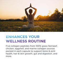 DR. EMIL NUTRITION five-type collagen sources visual emphasizes Types I–X.