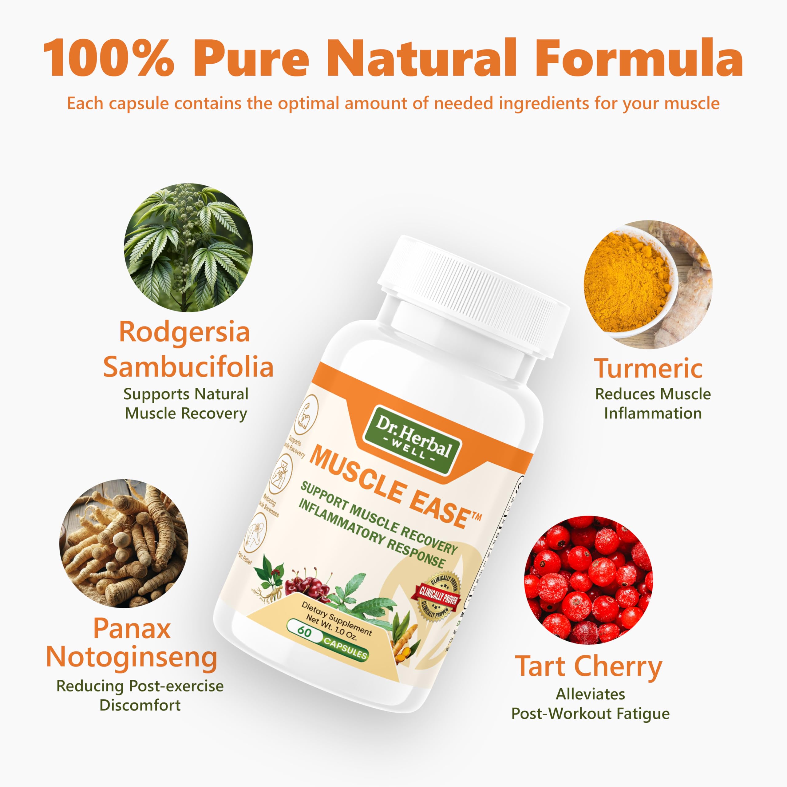 DR. HERBAL WELL Muscle Ease label detail highlights herbal ingredients and safety emphasis