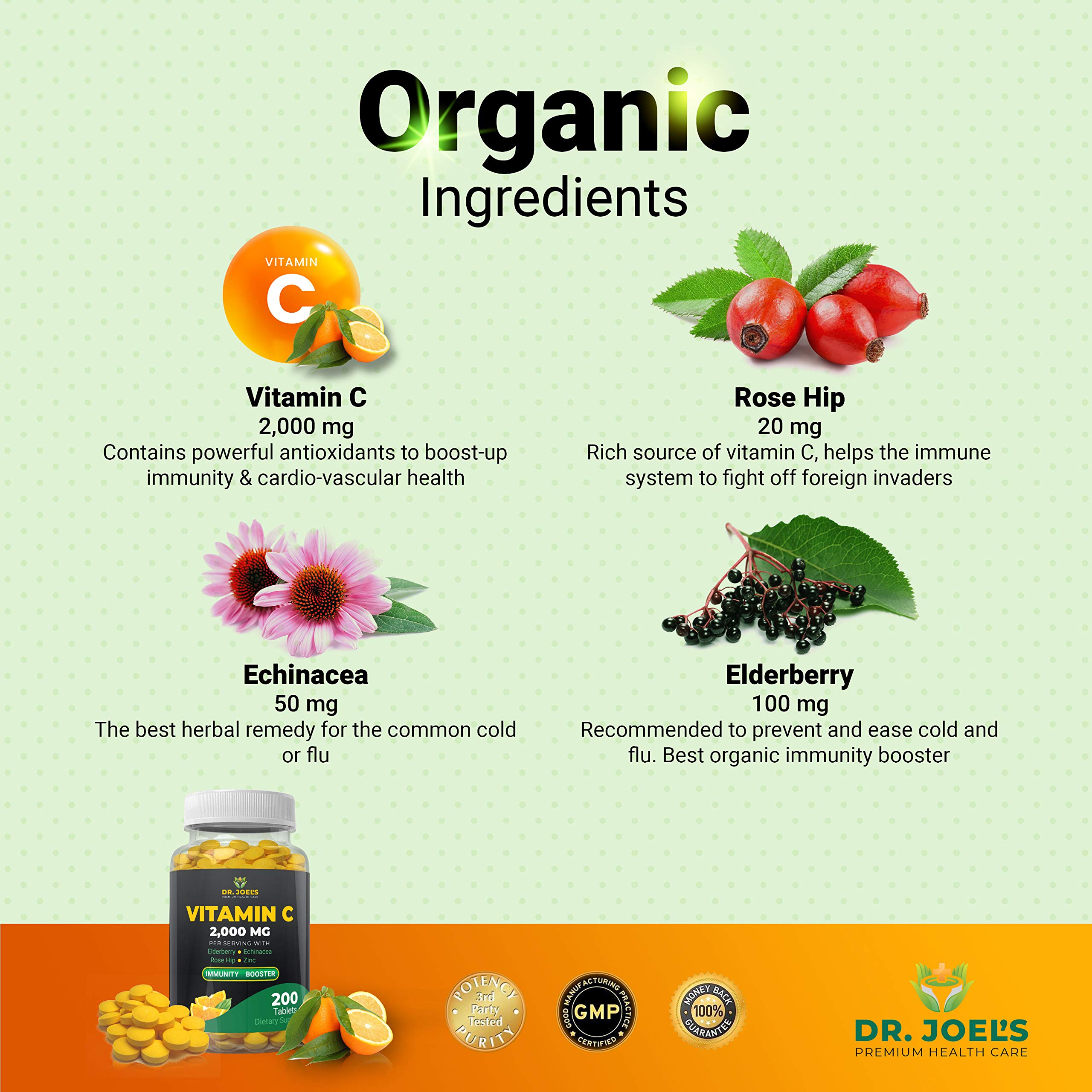 Dr. JOEL'S Immune ingredients display with elderberry and rose hip for antioxidant support.