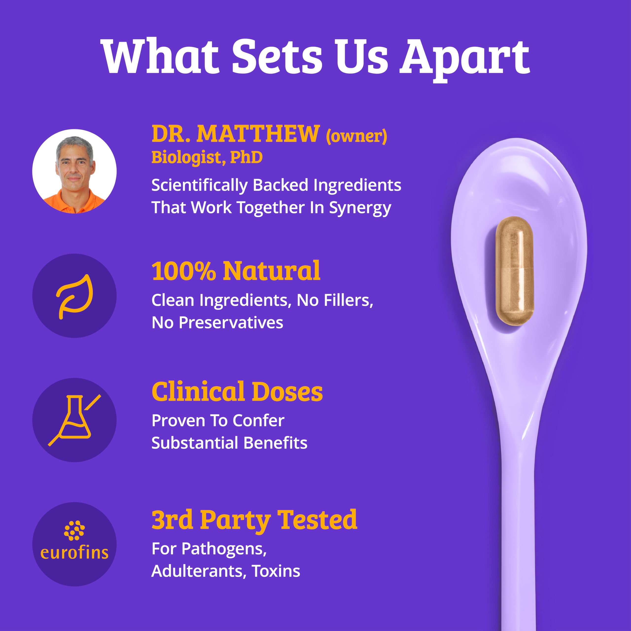 Panax ginseng visual hints at daytime energy support