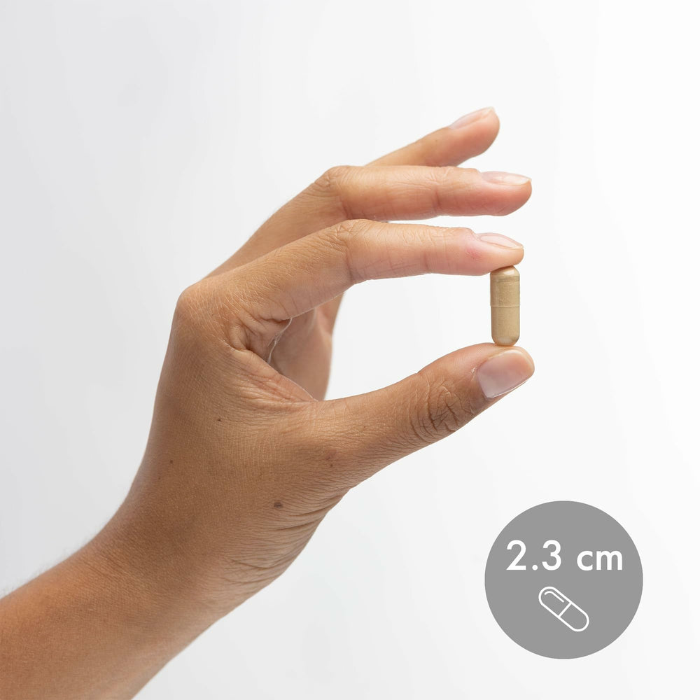 Dr. Mercola 90 capsules bottle packaging shown