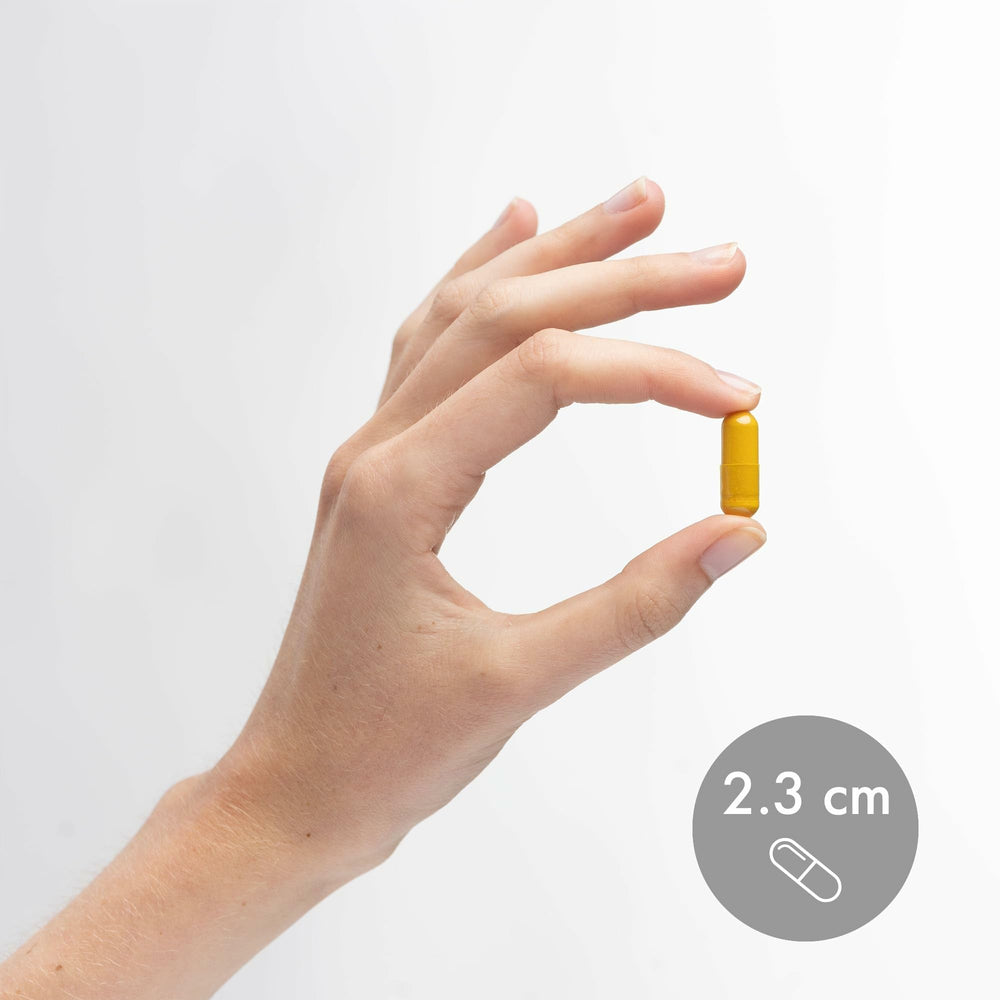 Graphic illustrating the advanced fermentation process for turmeric with Dr. Mercola branding.