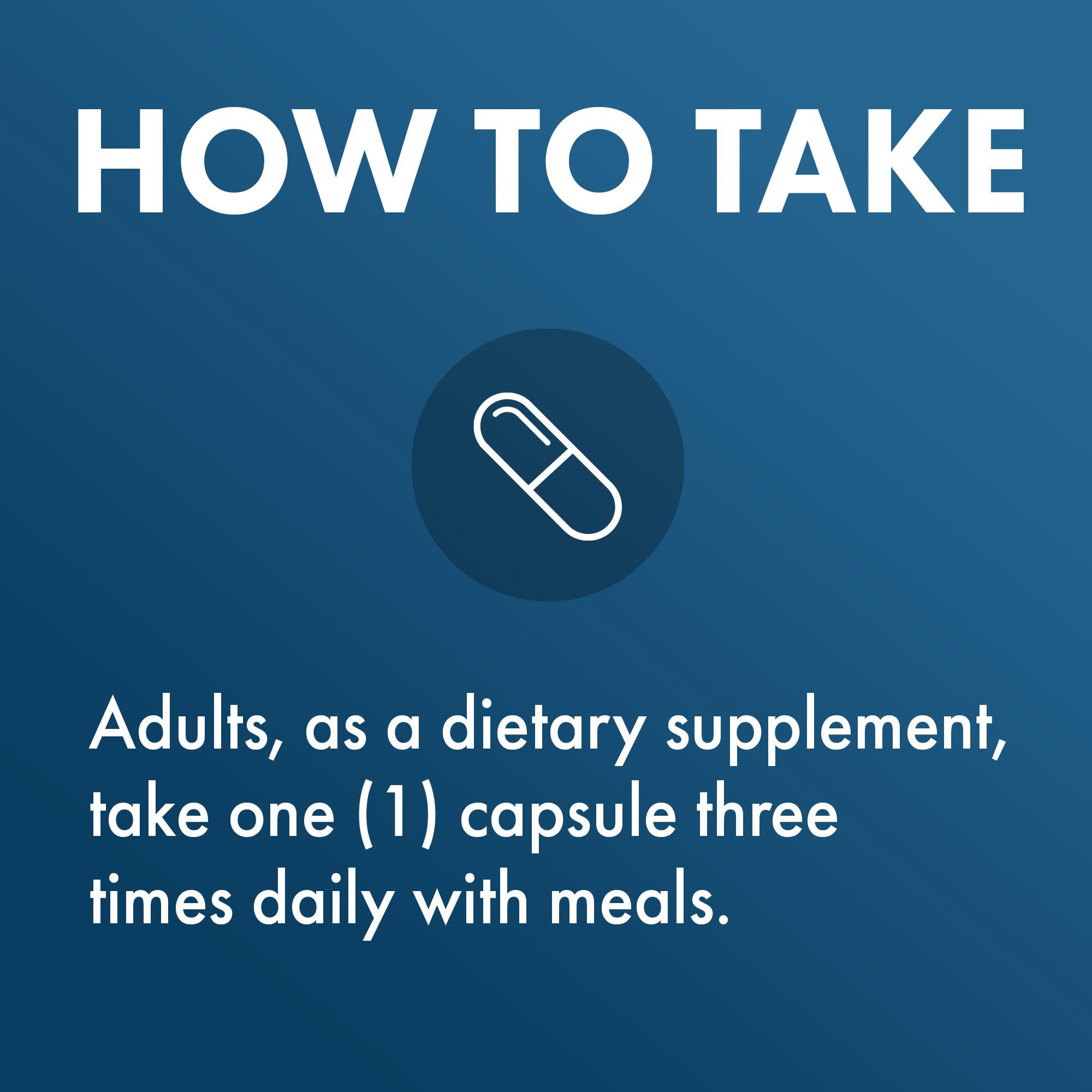 Meal scene with protein and carbs and the supplement for digestive support