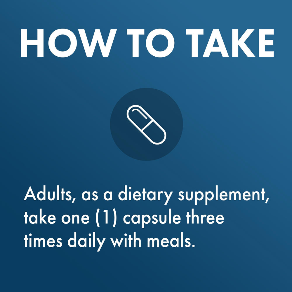 Meal scene with protein and carbs and the supplement for digestive support
