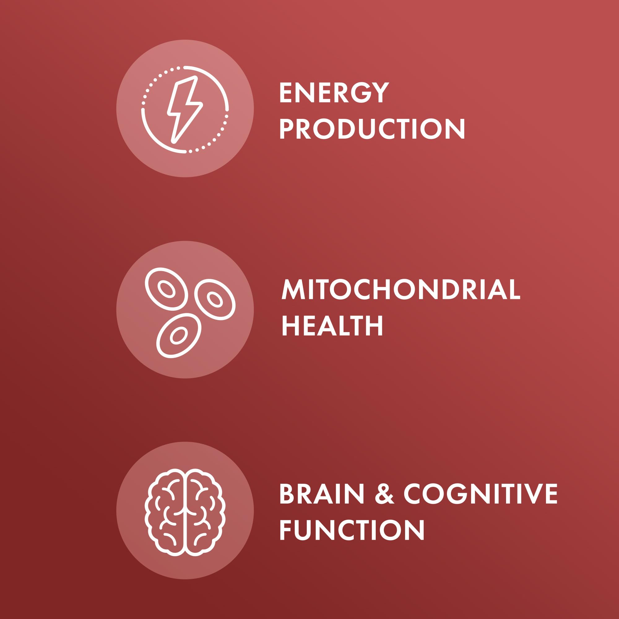 Dr. Mercola Carnitine Complex capsules designed for convenient daily intake supporting energy.