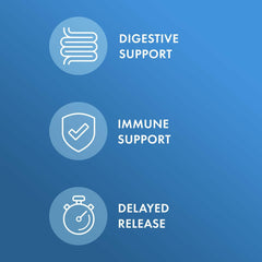 Dr. Mercola probiotics capsules close-up illustrating delayed-release delivery benefits