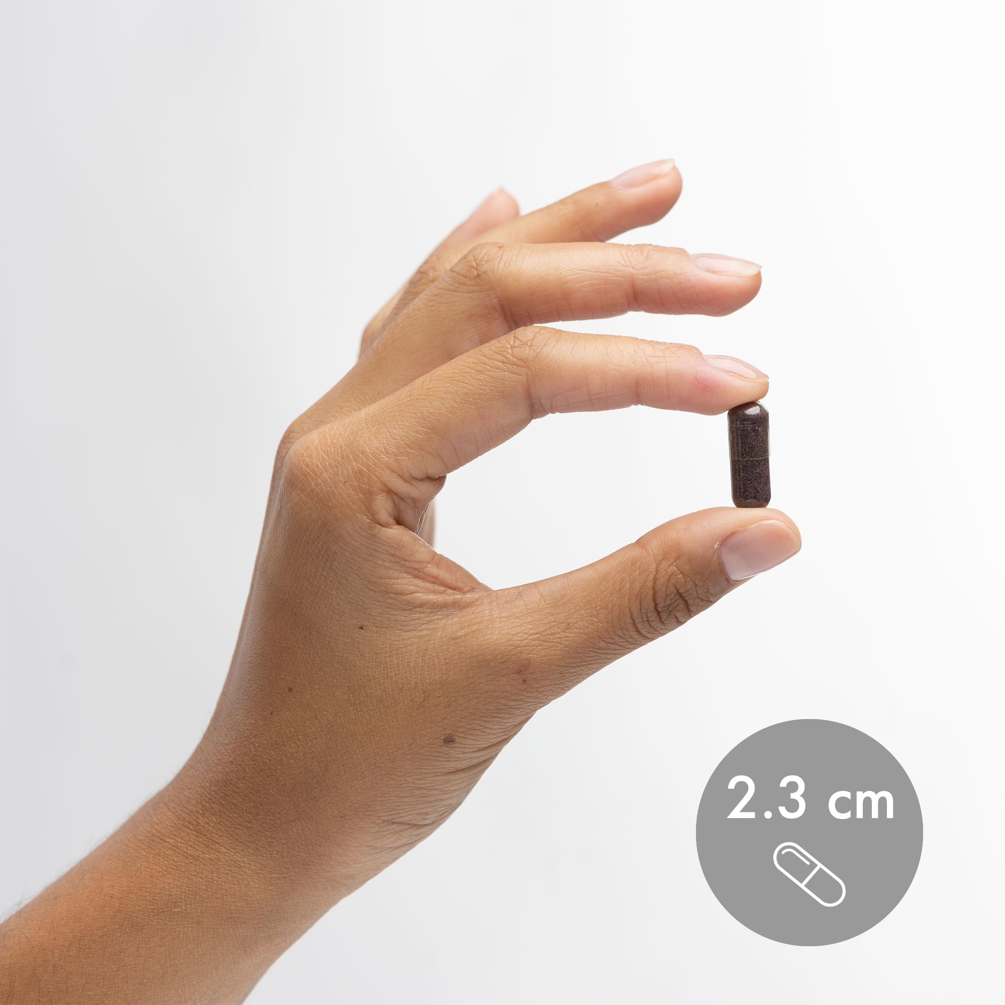 Dr. Mercola elderberry capsules arranged for daily supplement routine.