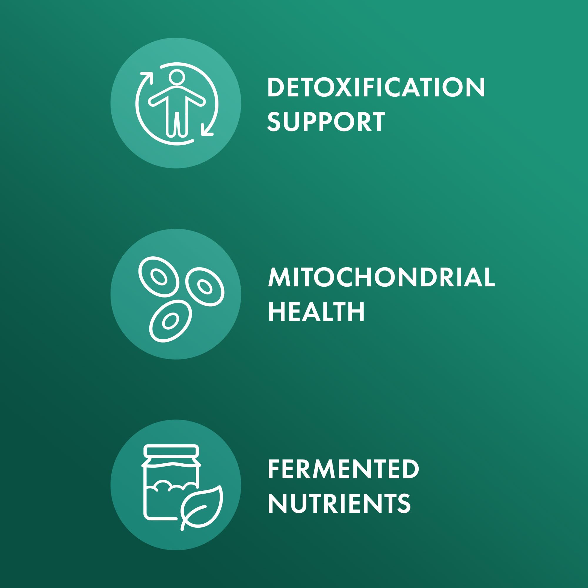 Dr. Mercola fermentation process visual suggests pre digested nutrients for absorption