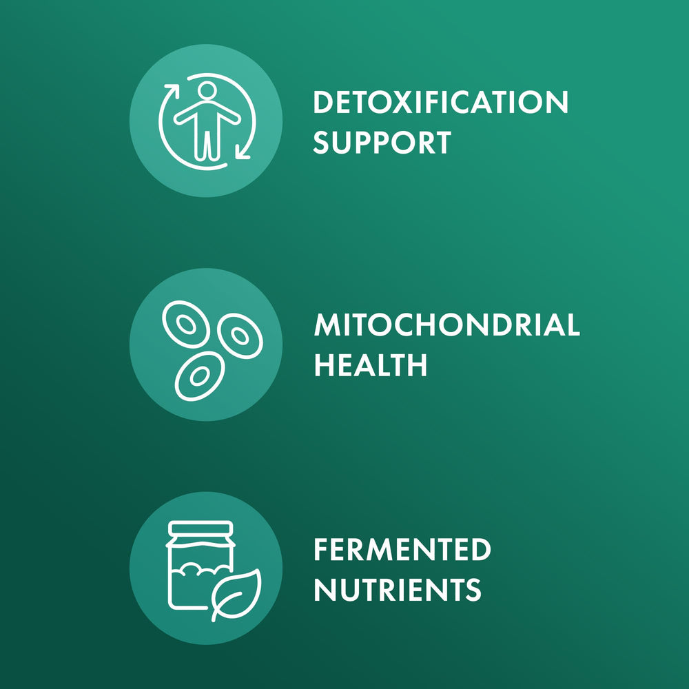 Dr. Mercola fermentation process visual suggests pre digested nutrients for absorption