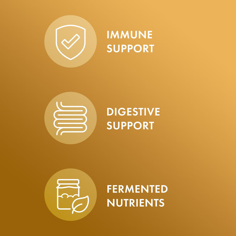 Close-up of Dr. Mercola Fermented Ginger with Benegut capsules for easy daily use.