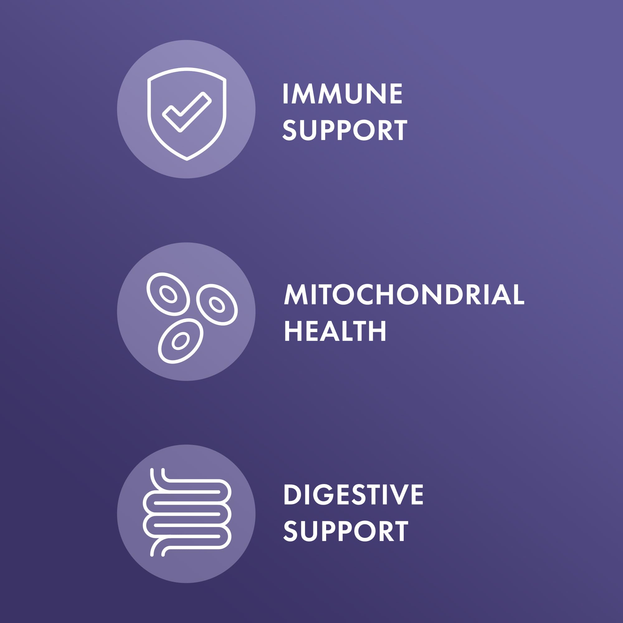 Dr. Mercola Full Spectrum Enzymes capsules close-up – plant-based enzymes for digestion