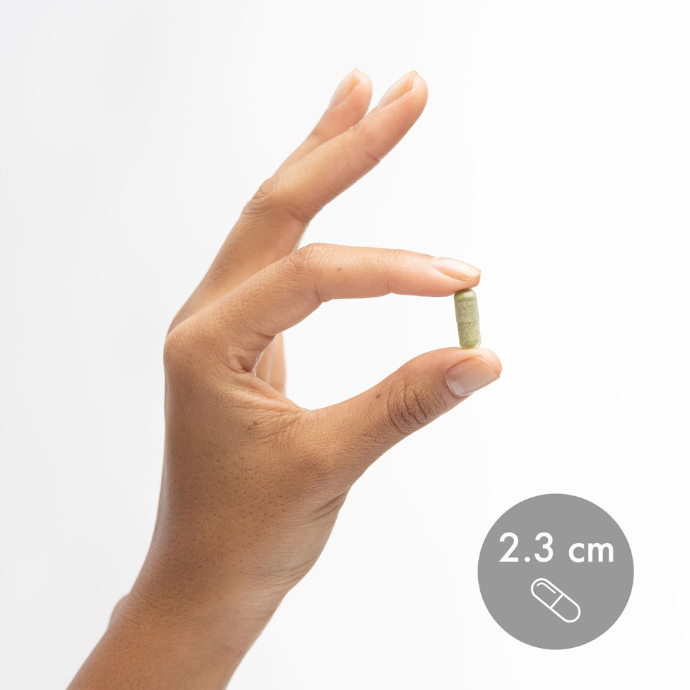 Fuente natural de yodo en algas para la rutina diaria