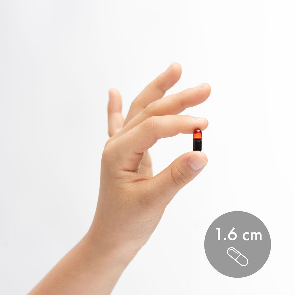 Bottle on a shelf suggesting a simple daily routine with Dr. Mercola Krill Oil for Kids