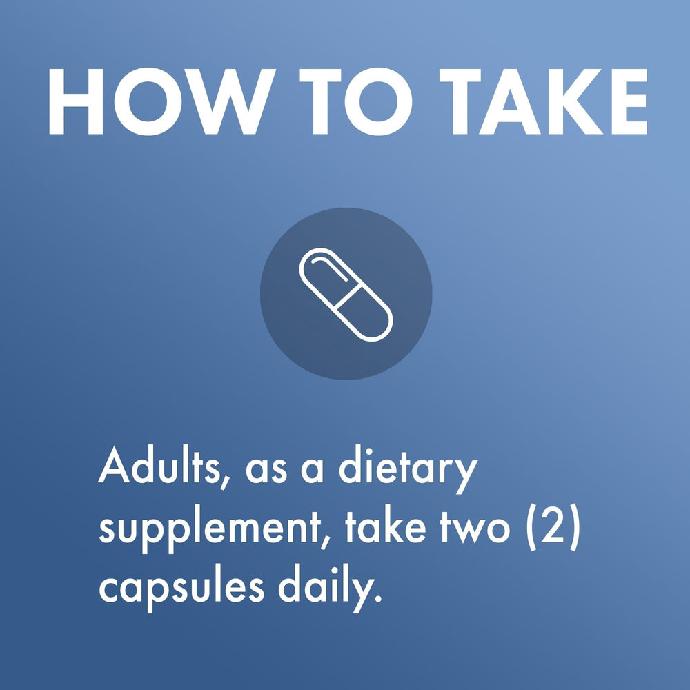 Dr Mercola L-Theanine Plus Capsules in hand illustrating portable wellness option