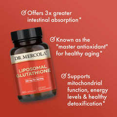 Back panel of the bottle detailing ingredients and liposomal delivery advantages.