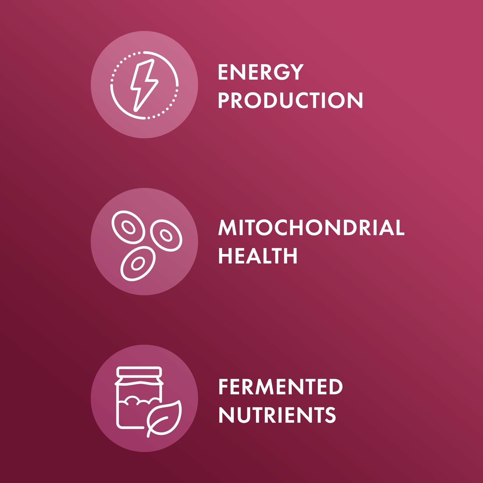 Dr. Mercola Organic Fermented Beets label highlights USDA Organic and allergen-free ingredients