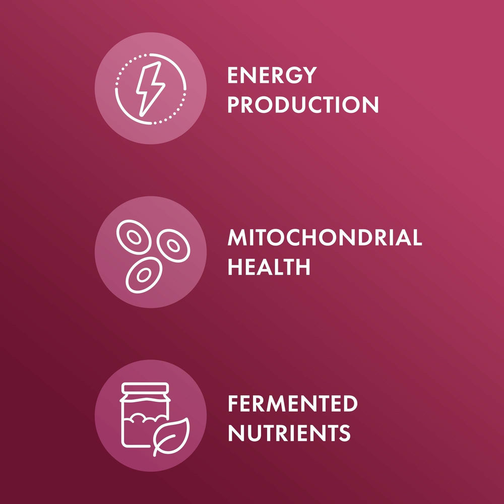 Dr. Mercola Organic Fermented Beets label highlights USDA Organic and allergen-free ingredients