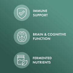 Dr. Mercola Fermented Mushroom Complex close-up of solid-state fermentation on organic oats