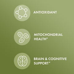 Dr. Mercola vegetarian capsules are dairy-free and GMO-free.