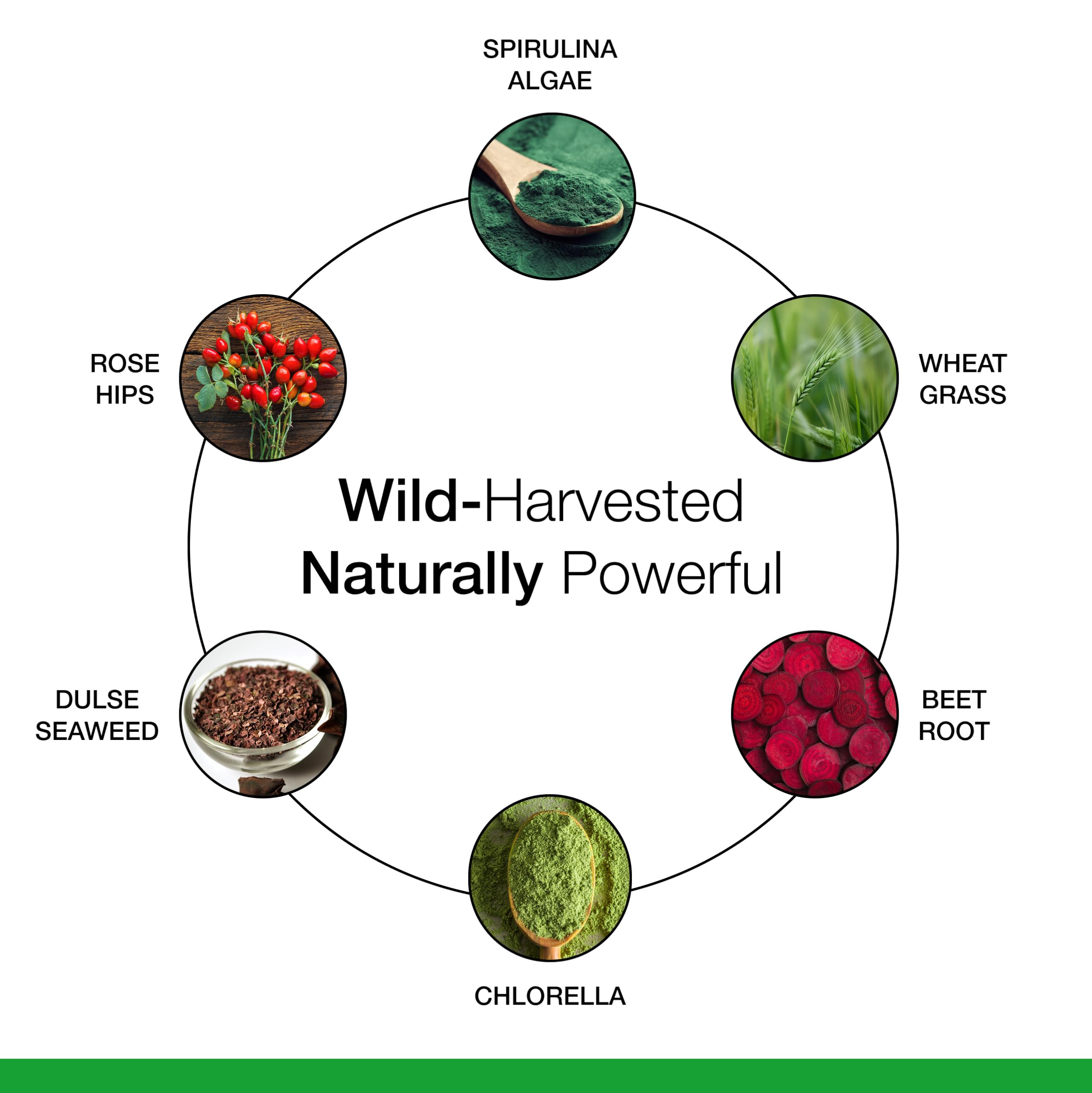 Ingredient blend of greens and herbs from Dr. Schulze's SuperFood Plus.