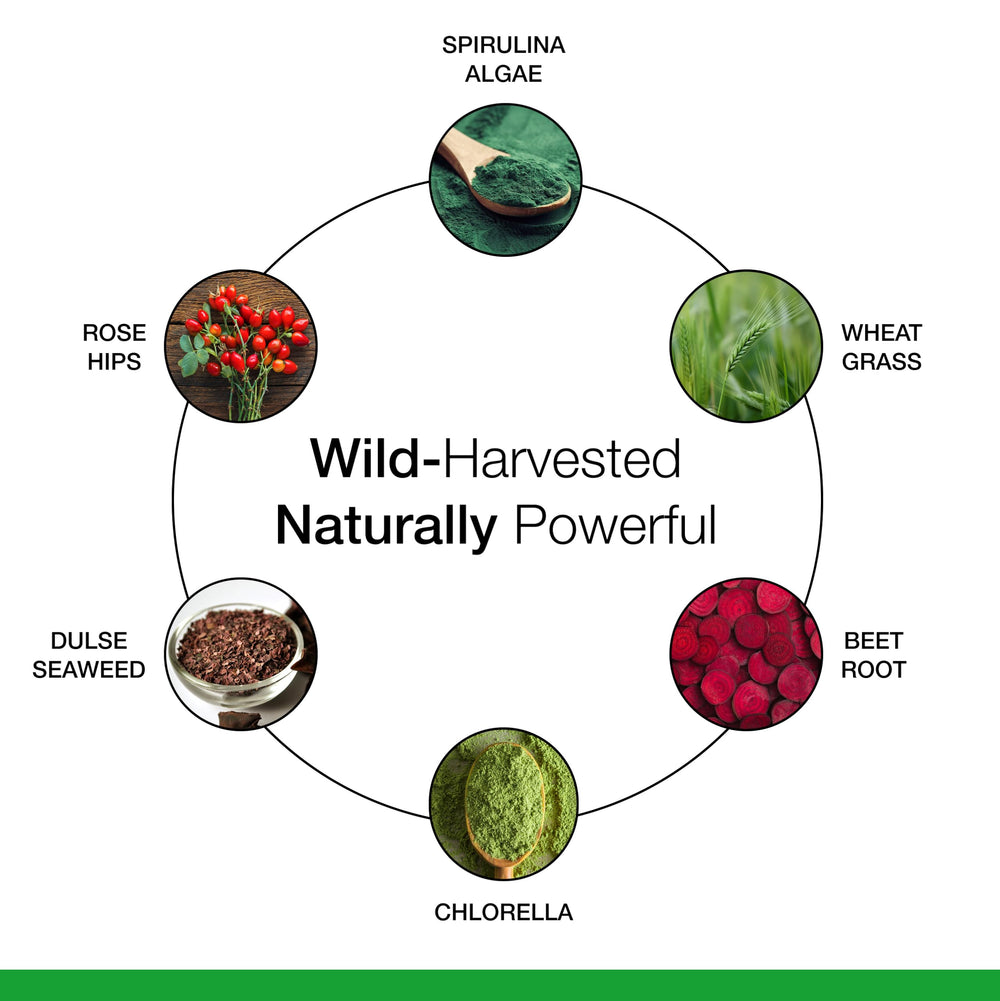 Ingredient blend of greens and herbs from Dr. Schulze's SuperFood Plus.