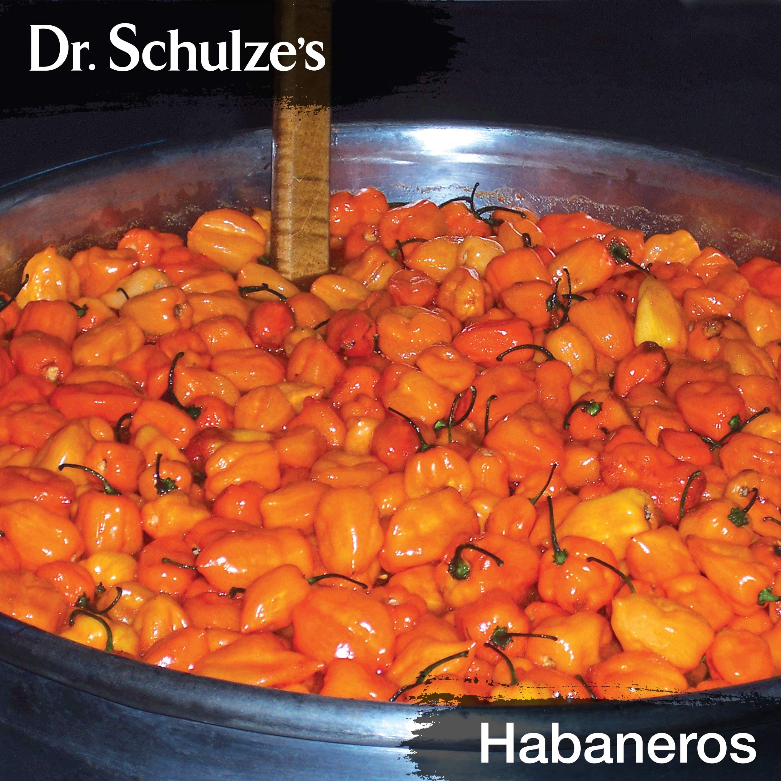 Dr. Schulze's Brain Formula daily use can support hearing and eyesight wellness