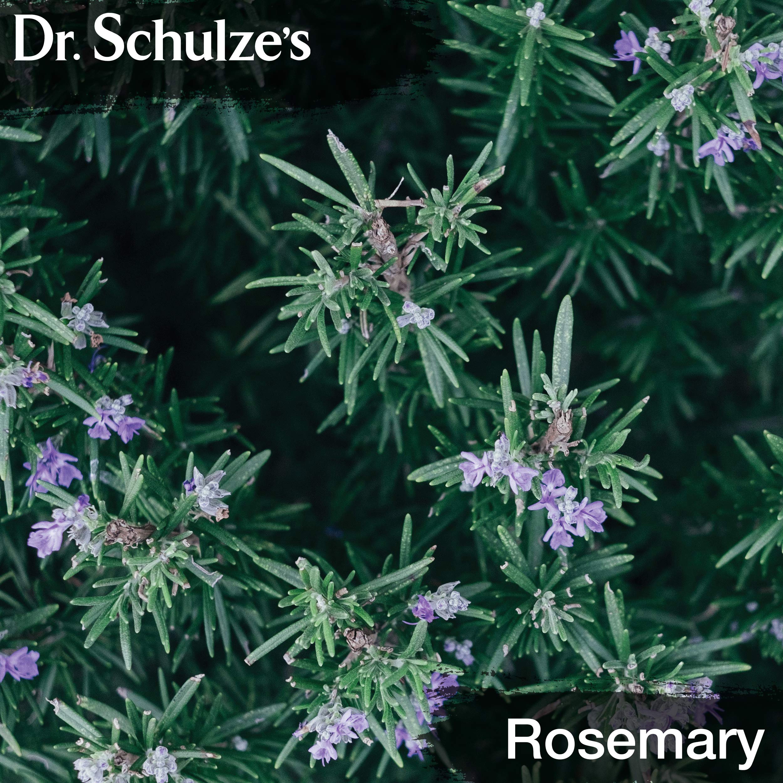 Dr. Schulze's Brain Formula mixing with juice offers a convenient morning energy shot