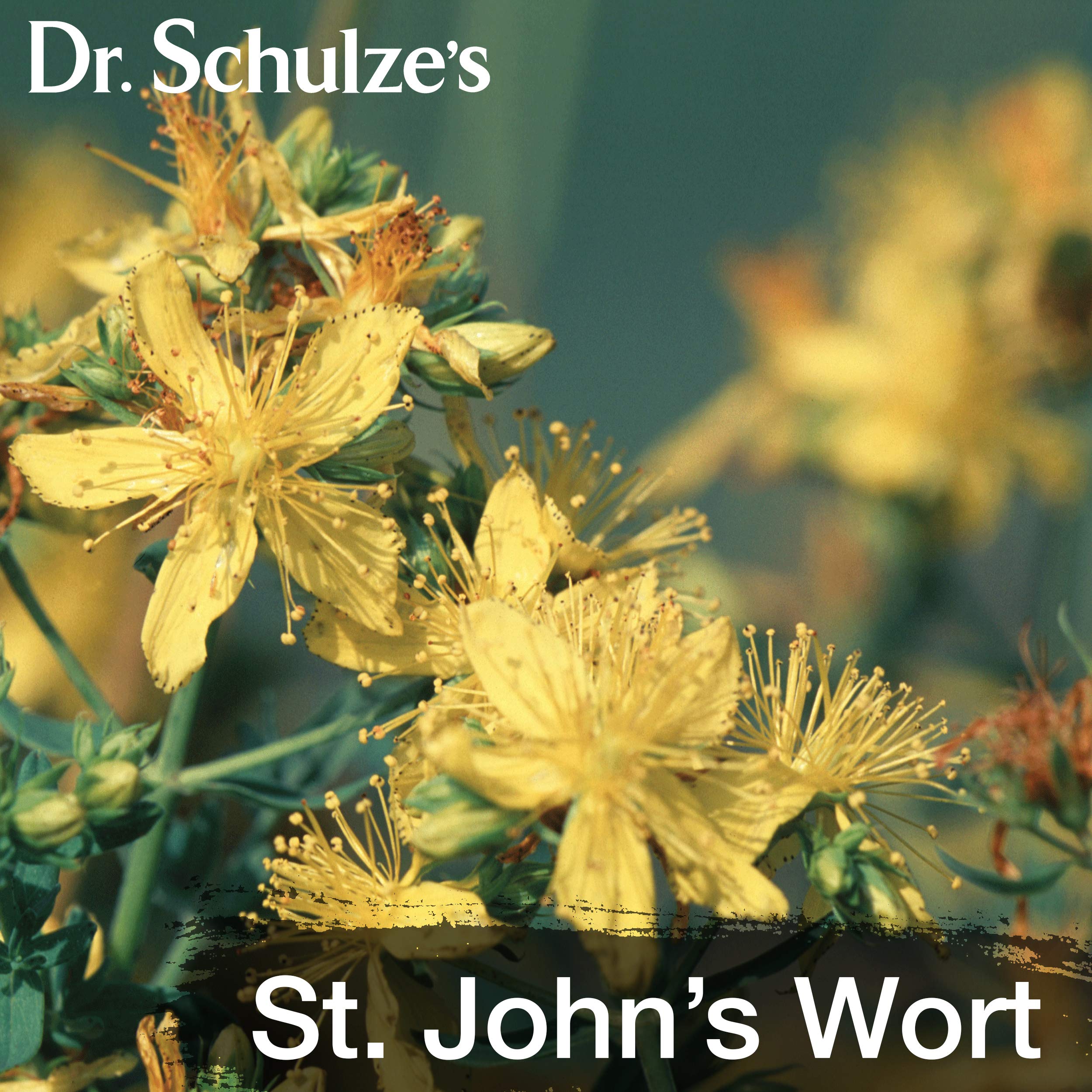 Wintergreen, menthol and habanero peppers imagery in Dr. Schulze's Deep Tissue Oil.
