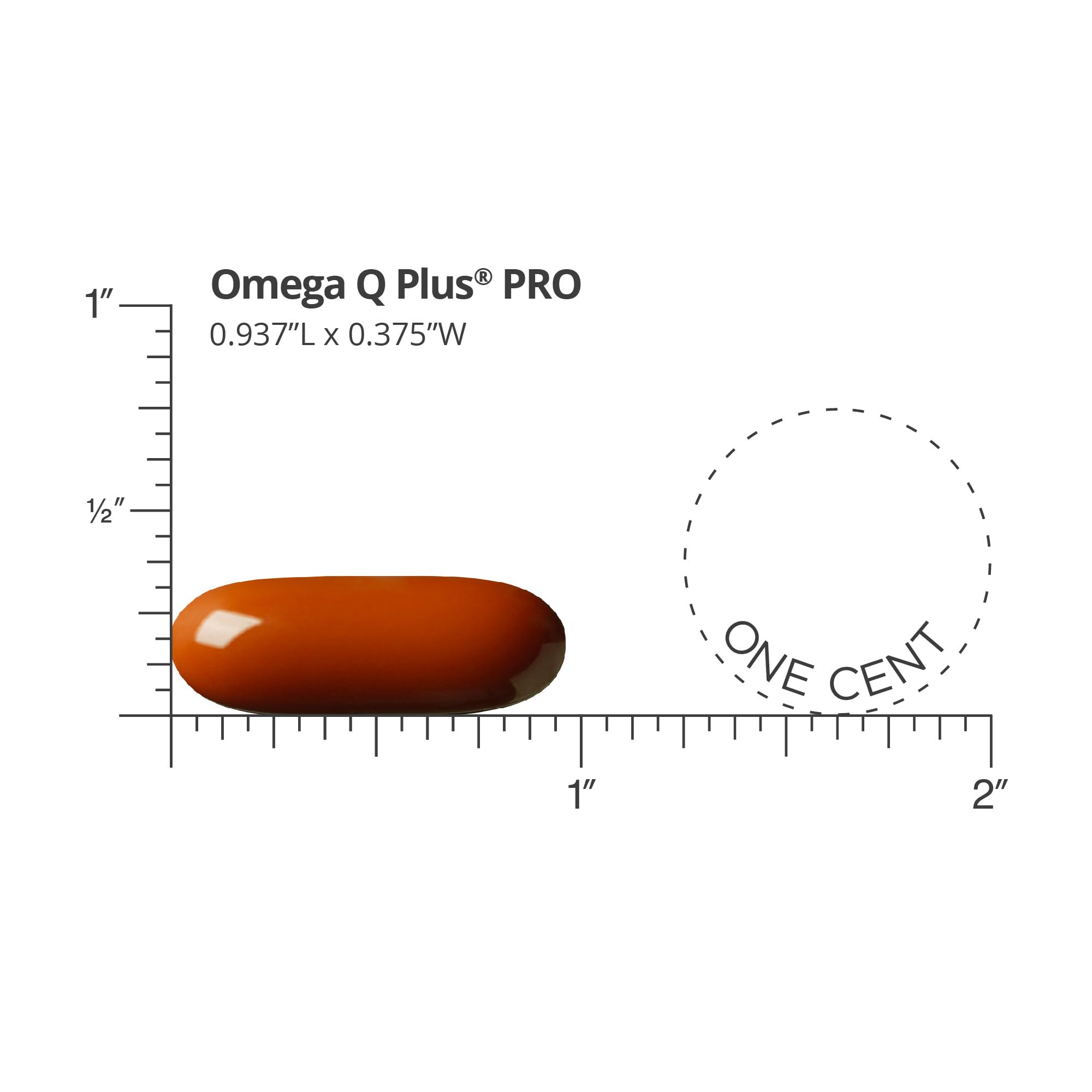 Dr. Sinatra Omega Q Plus PRO CoQ10 softgels emphasize cellular energy.