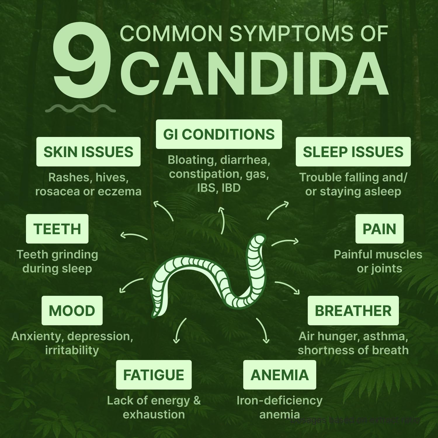 Closeup of Dr. Siti Candisite gummies emphasizing plant-based candida support.