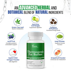 DR VITAMIN SOLUTIONS appetite-control bottle supports cravings management during meals.