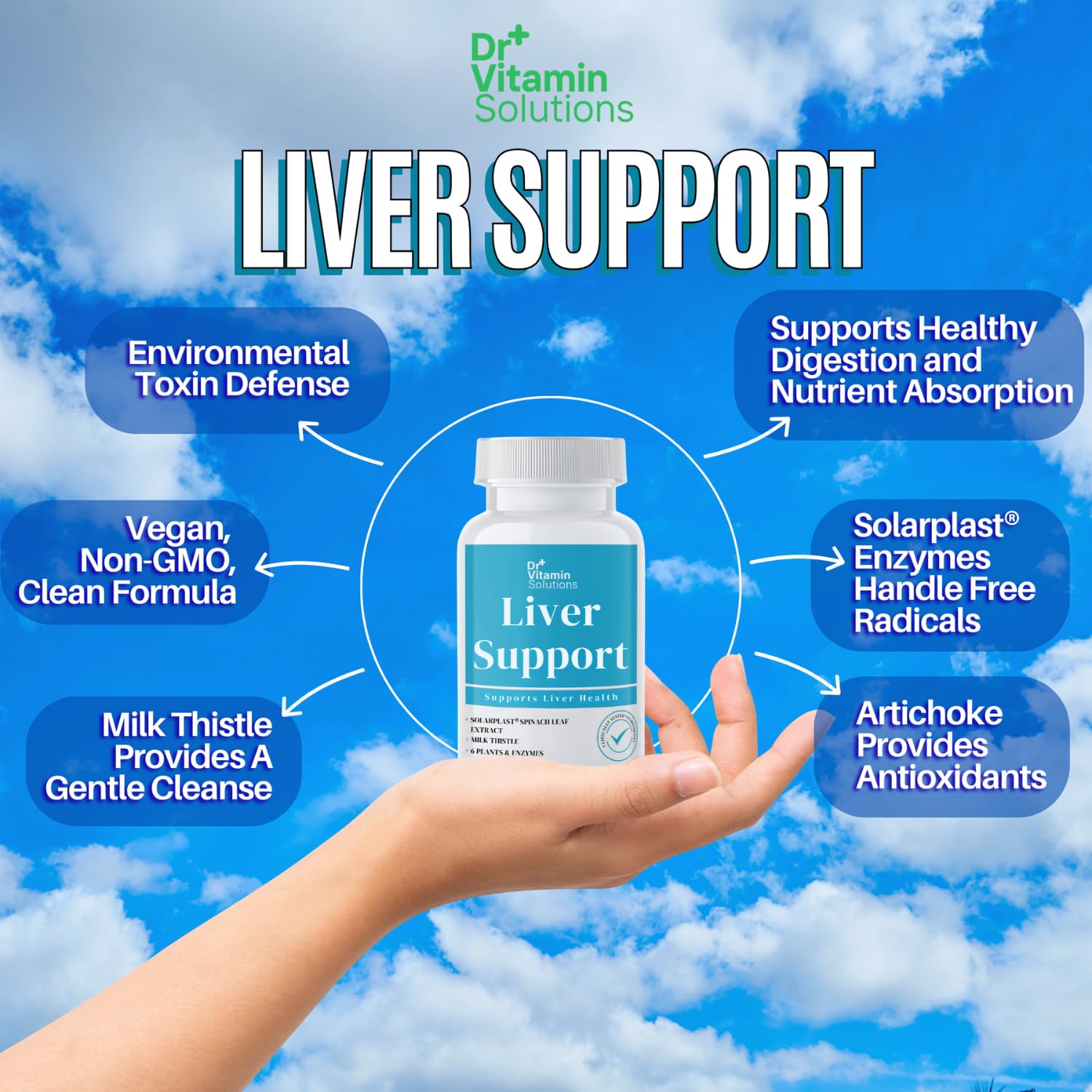 DR VITAMIN SOLUTIONS Chlorophyll extract highlight greens-based nourishment.
