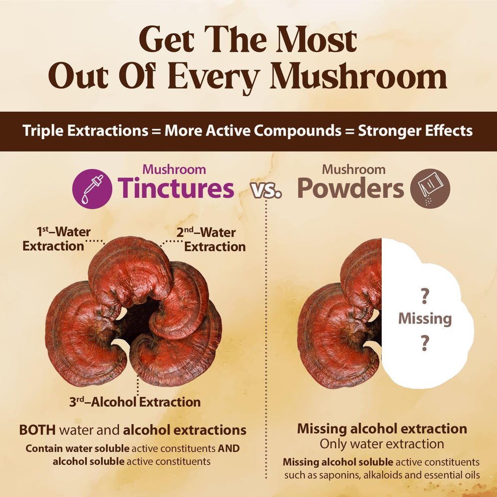 Dragon Herbs Duanwood Reishi Drops dropper dispensing into coffee.