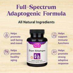 Dragon Herbs Super Adaptogen bottle closeup highlighting potent adaptogenic herbs.