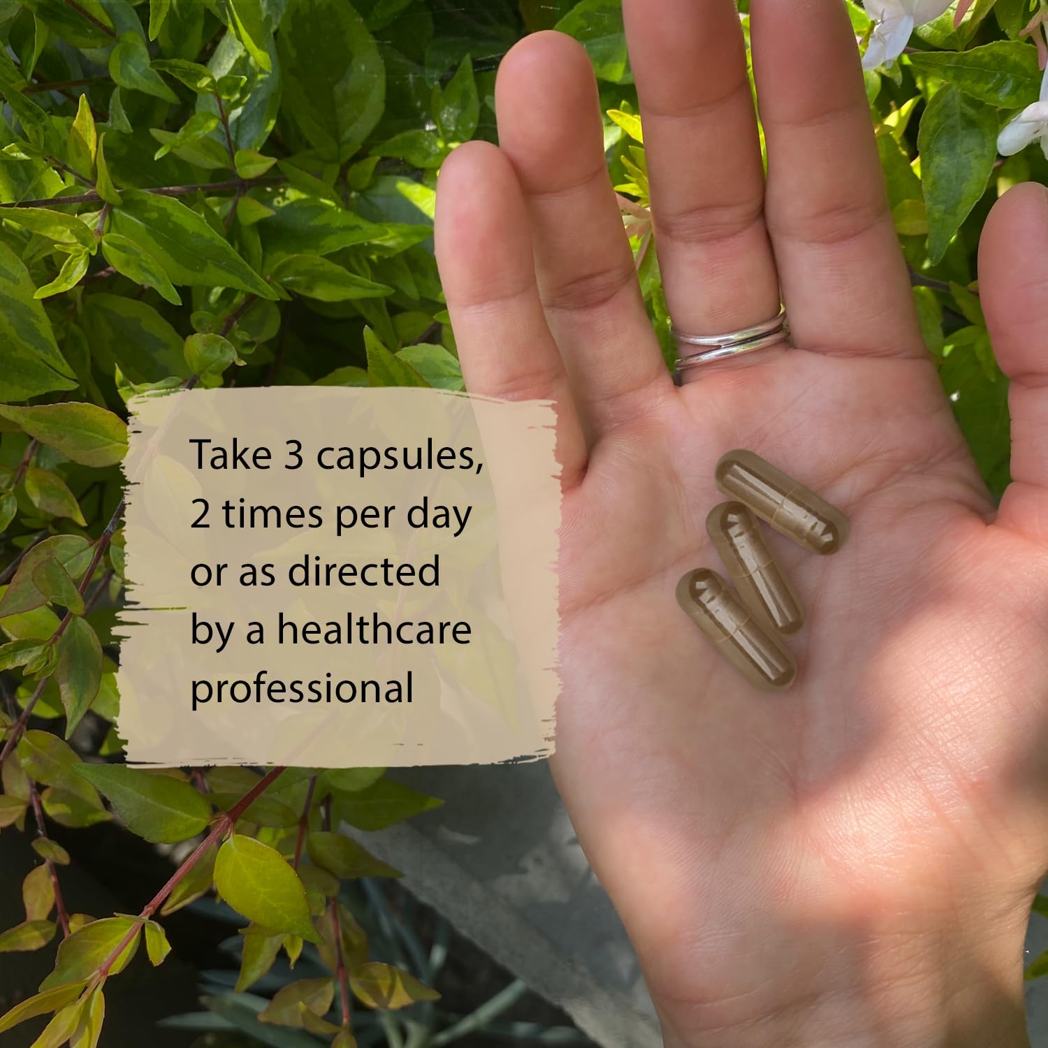 Dragon Herbs Super Adaptogen capsules ready for daily supplement routine.