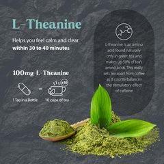 Dragon Herbs Tao in a Bottle capsules closeup ingredients highlighting herbal blends