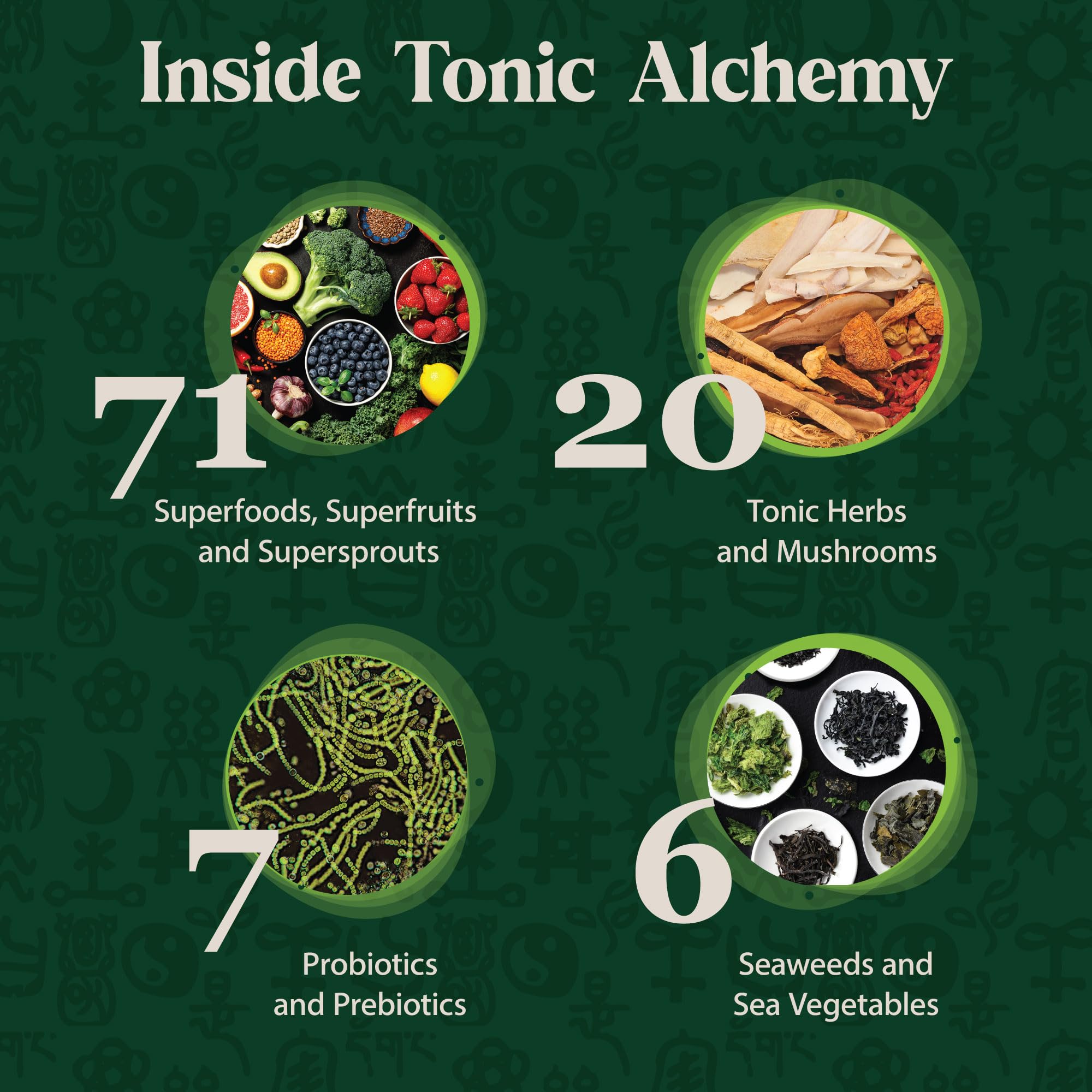 Dragon Herbs Tonic Alchemy blend in a smoothie showcasing vibrant greens
