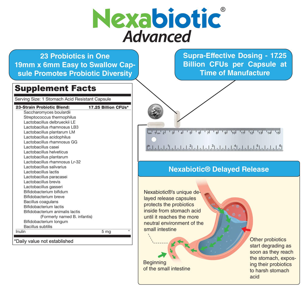 DrFormulas Nexabiotic 23 strains illustration for broad digestive support.
