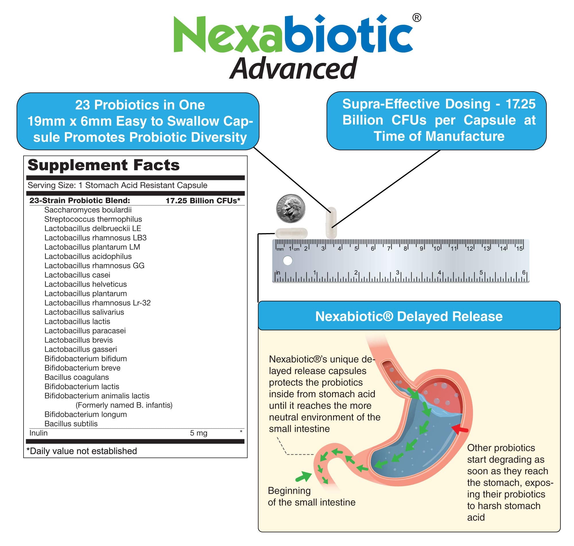 DrFormulas Nexabiotic Bifidobacterium longum capsule promotes gut-friendly regularity
