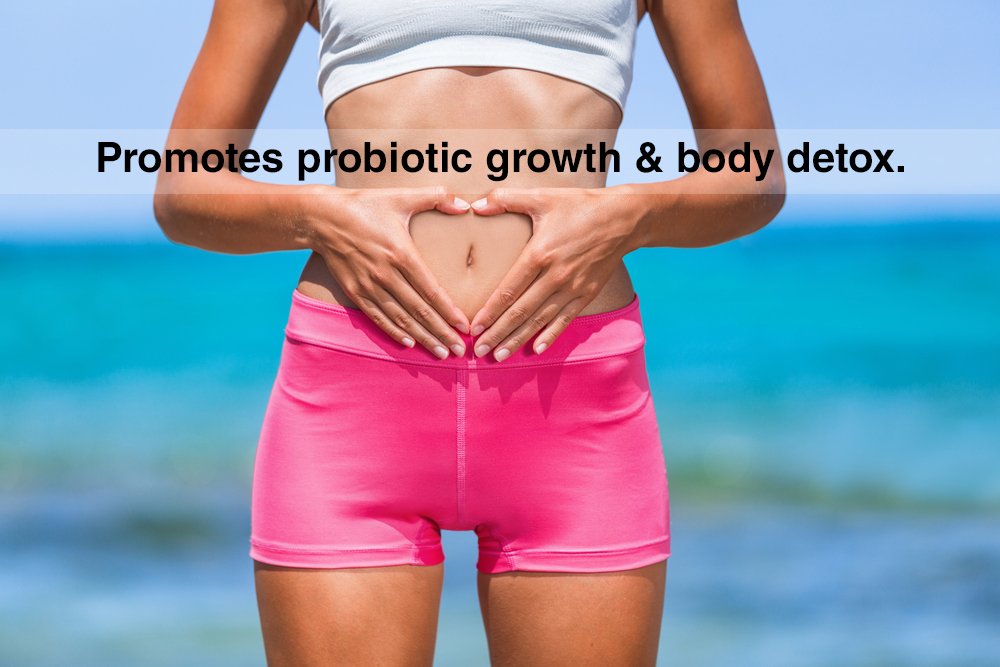 DrFormulas Nexabiotic delayed-release capsule illustration highlighting intestinal delivery