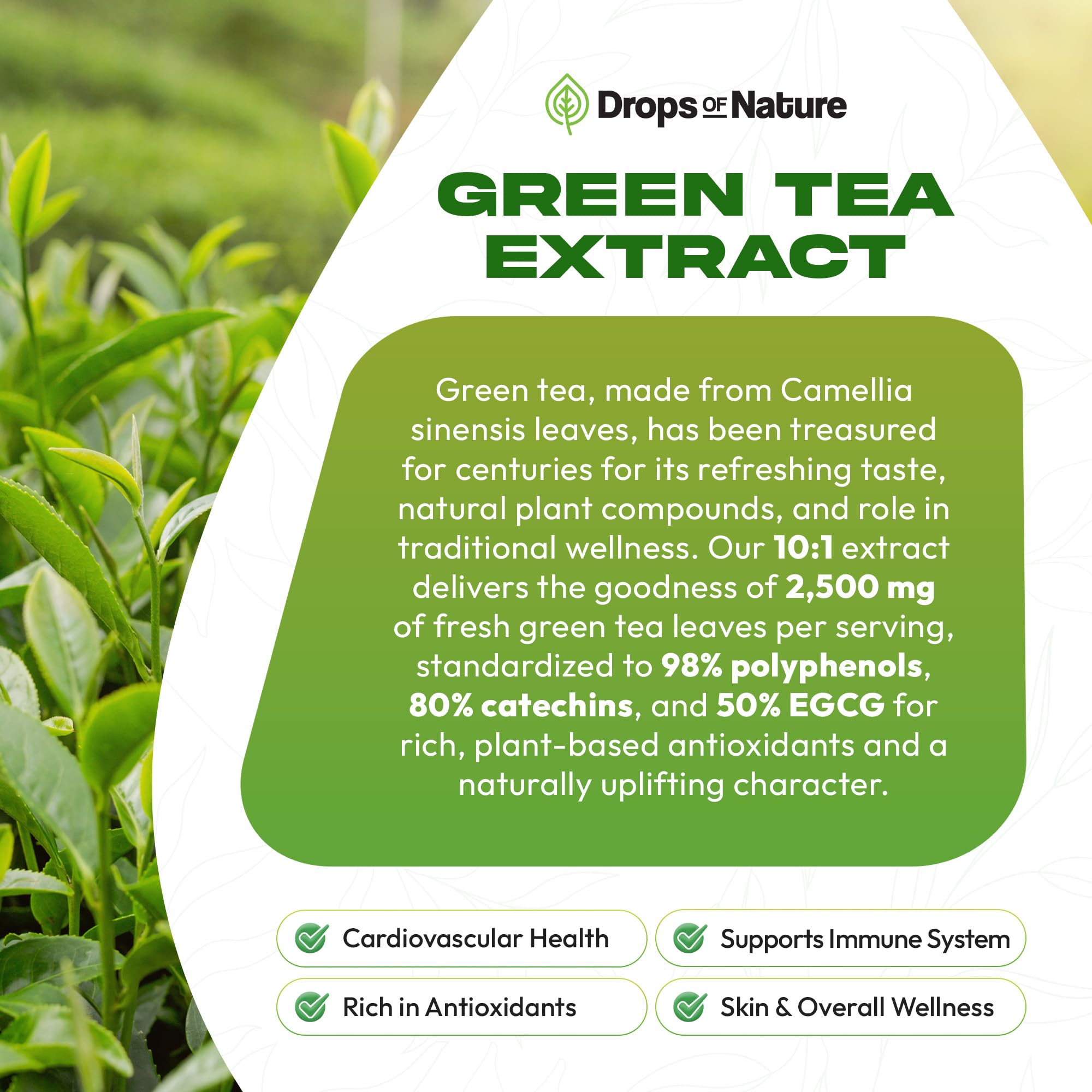 Drops Of Nature Green Tea Liquid Drops dropper-tip enables precise daily dosing