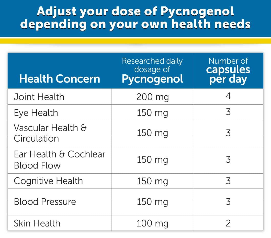 DR.WHITAKER Pycnogenol capsules in hand for convenient supplementation