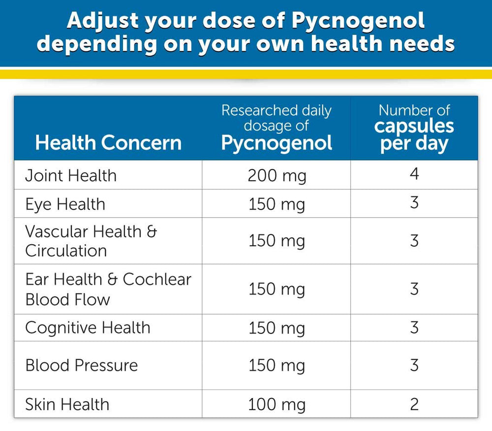 DR.WHITAKER Pycnogenol capsules in hand for convenient supplementation