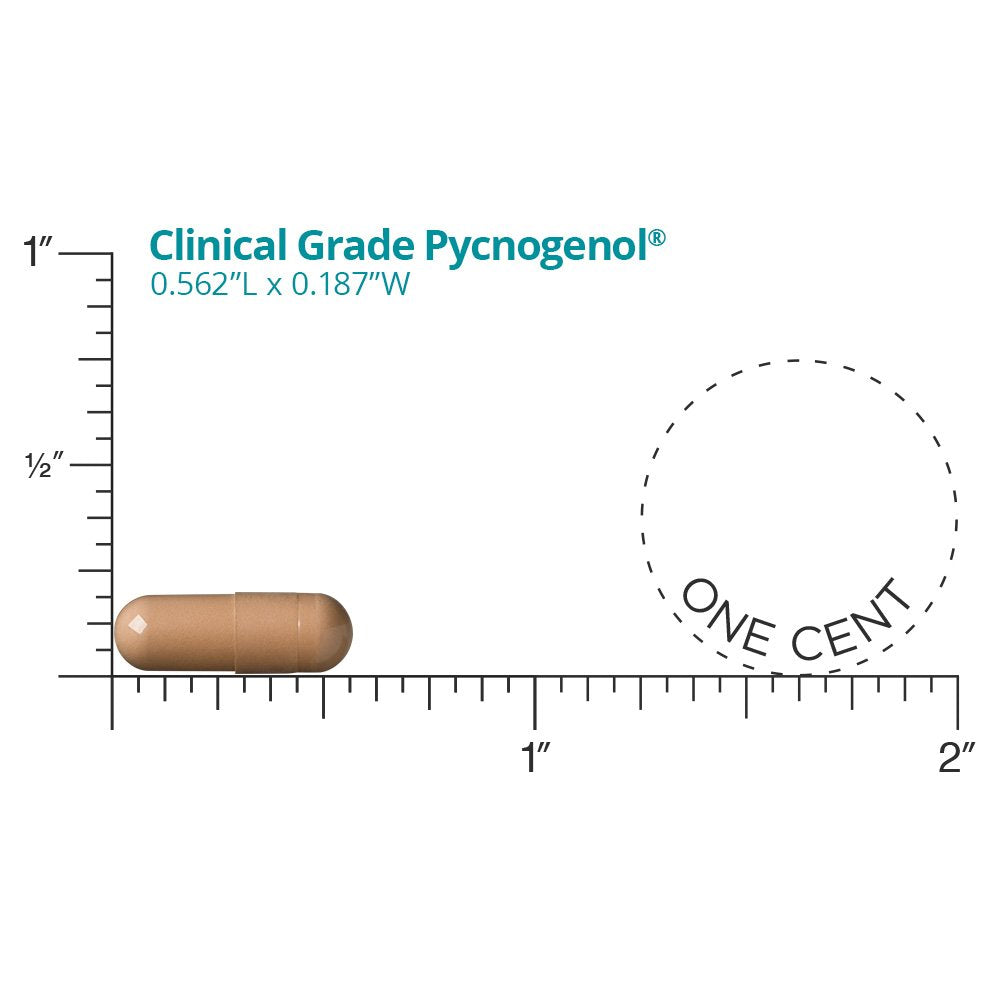 DR.WHITAKER Pycnogenol packaging box highlighting premium formula